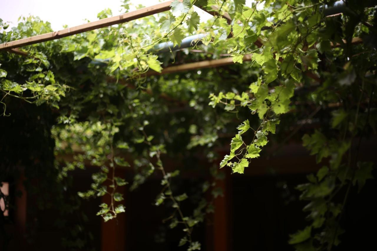 Auberge Jaafar Midelt Exterior photo